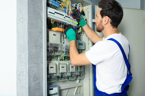 Best Electrical System Inspection  in Chalco, NE